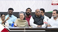 পাঁকে পড়ে সুর নরম! রাহুল গান্ধীকে প্রধানমন্ত্রী হিসেবে দেখতে চান মমতা
