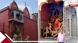 জটাধারী সাধক নিশ্চিন্তায় দুর্গা পুজোর নির্দেশ দেন, বলে দেন প্রতিমার রং হবে লাল