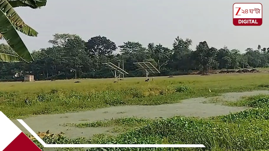 সৌর সেচ প্রকল্প অকেজো, জলের অভাবে ১৫০ বিঘা জমিতে চাষ বন্ধ!  সমস্যায় কয়েকশো কৃষক