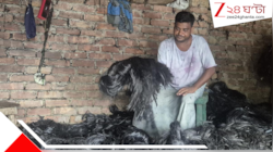 সম্প্রীতির বাংলা! দেবীর ঘন কালো কেশ বোনেন মুসলিম কারিগররাই, শোভা পায় মণ্ডপে মণ্ডপে দুর্গা প্রতিমায়