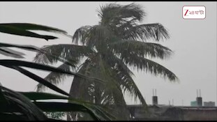 Weather Update, Durga Puja 2026 | রেনি ডে না ড্রাই ডে? এই পুজোয় কেমন থাকবে আবহাওয়া? | Zee 24 Ghanta