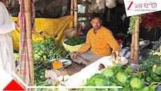 সেঞ্চুরি পার লঙ্কার, ধনেপাতা ৫০০ টাকা কেজি! পুজোর মরসুমে বাজারে আগুন, নাভিশ্বাস মধ্যবিত্তের