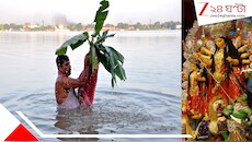 দুর্গাপুজো কি আদতে শস্যদেবীরই পুজো? আজও দুর্গার মহিষমর্দিনীরূপের ভিতরে উঁকি দিচ্ছে আদি মাতার ন'টি উদ্ভিদ