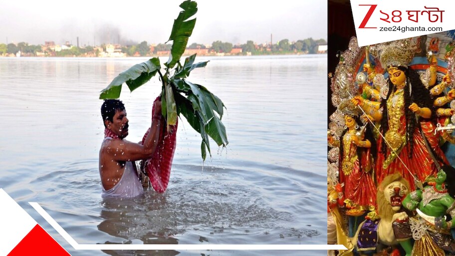 দুর্গাপুজো কি আদতে শস্যদেবীরই পুজো? আজও দুর্গার মহিষমর্দিনীরূপের ভিতরে উঁকি দিচ্ছে আদি মাতার ন'টি উদ্ভিদ