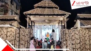 মহিষাসুর নয়, আরশোলা বধ করছেন মা দুর্গা! পুজোর থিমে CJP আন্দোলন