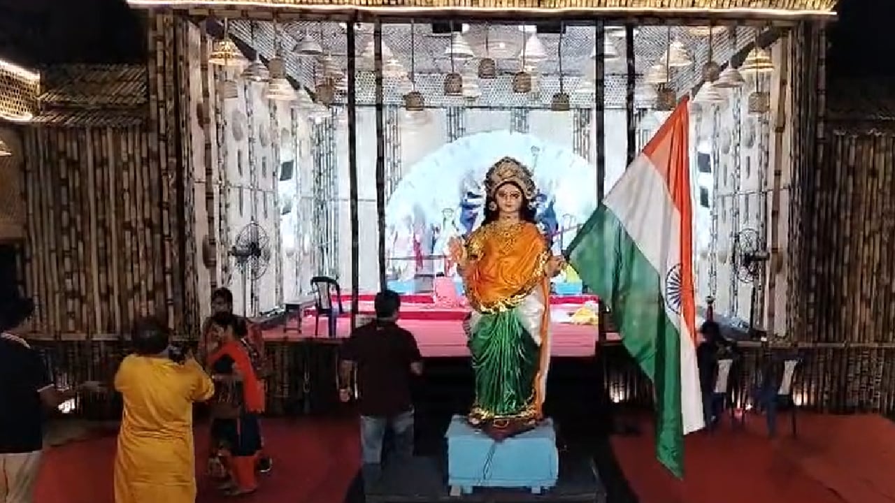 মা দুর্গার পদতলে বিশালাকার এক আরশোলা!