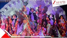 বিশেষ আকর্ষণ প্রবীণদের ফ্যাশন শো! নয়ডায় জমজমাট বুলেভার্ড সাংস্কৃতিক সমিতির পুজো