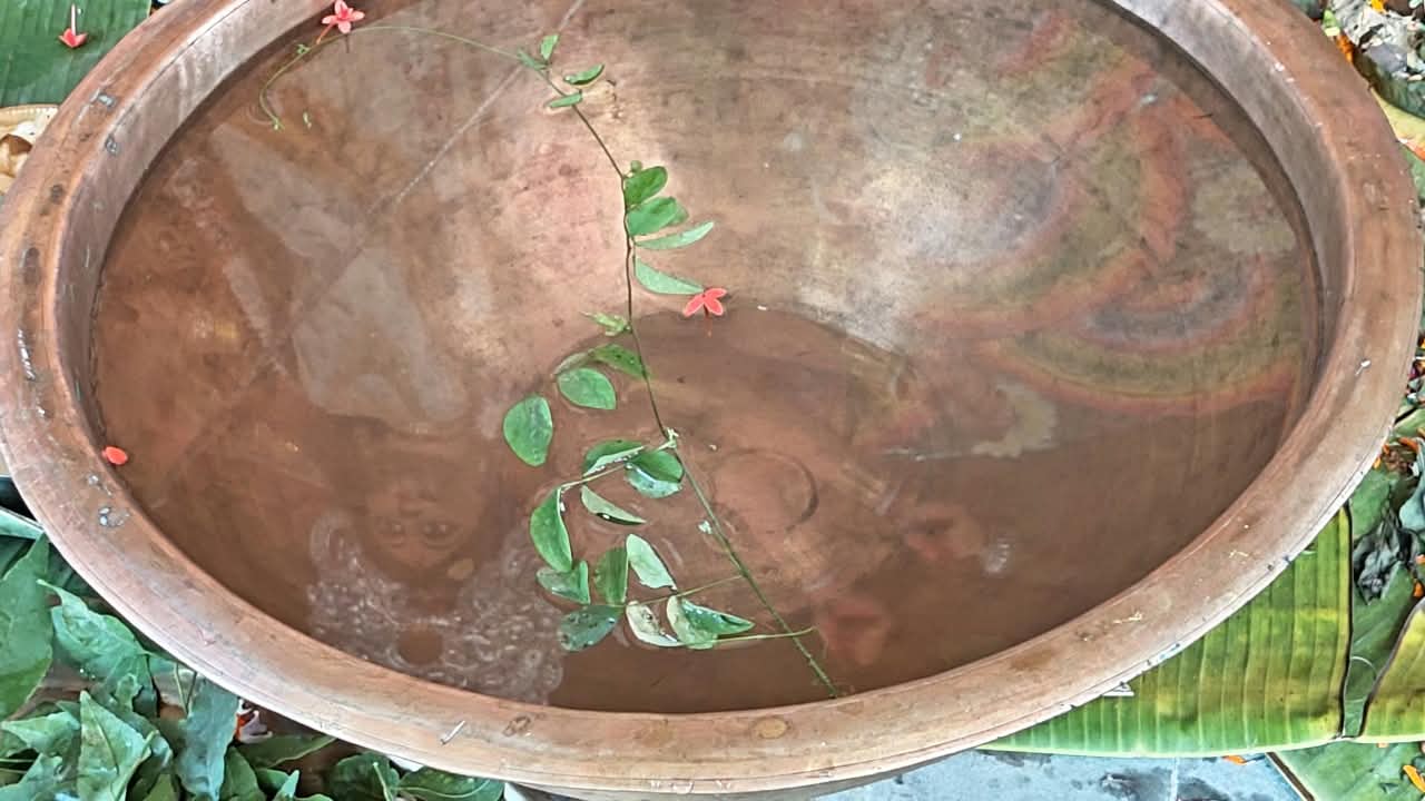 Dashami 1