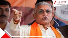 ‘বিরোধীরা প্রত্যেকেই ছন্নছাড়া’, মমতা-সহ বিরোধী শিবিরকে নিশানা দিলীপ ঘোষের