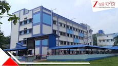 বোলতার কামড়ে মর্মান্তিক মৃত্যু ৬৯ বছরের বৃদ্ধের, শোকের ছায়া পরিবারে