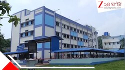বোলতার কামড়ে মর্মান্তিক মৃত্যু ৬৯ বছরের বৃদ্ধের, শোকের ছায়া পরিবারে