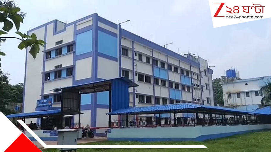বোলতার কামড়ে মর্মান্তিক মৃত্যু ৬৯ বছরের বৃদ্ধের, শোকের ছায়া পরিবারে