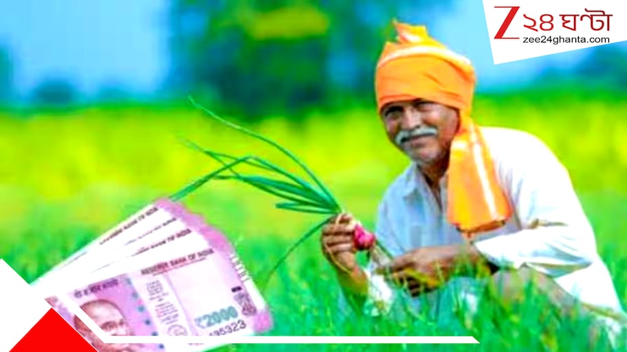 দিওয়ালির আগেই কৃষকদের অ্যাকাউন্টে ২০০০: পিএম কিষাণ যোজনার টাকা এবার এইদিন ঢুকবে আপনার ব্যাংকে, কারা বাদ পড়বেন?