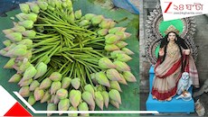 লক্ষ্মী যখন আসবেন তখন পদ্মতেই ঠাঁই মিলবে তাঁর! বাগনানের ফুলবাজার এবার কমল-আলোয় অমল, চাষির মুখও ঝলমলে