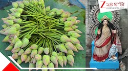 লক্ষ্মী যখন আসবেন তখন পদ্মতেই ঠাঁই মিলবে তাঁর! বাগনানের ফুলবাজার এবার কমল-আলোয় অমল, চাষির মুখও ঝলমলে