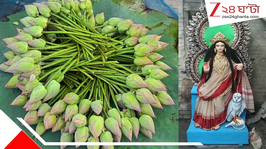 লক্ষ্মী যখন আসবেন তখন পদ্মতেই ঠাঁই মিলবে তাঁর! বাগনানের ফুলবাজার এবার কমল-আলোয় অমল, চাষির মুখও ঝলমলে