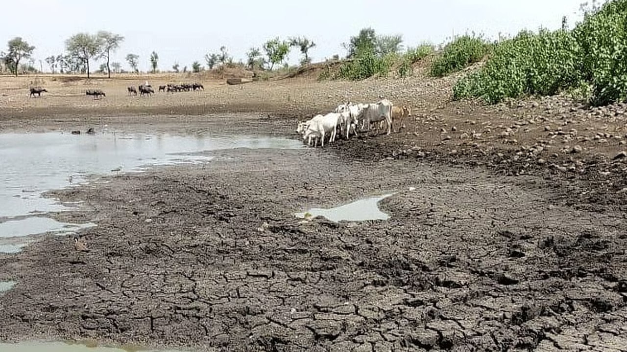 Below-Normal Monsoon