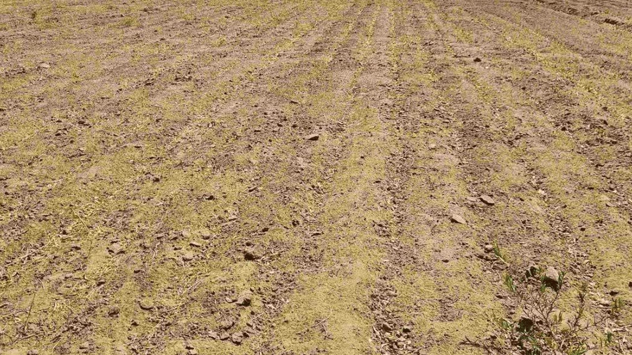  14 districts Drought-hit