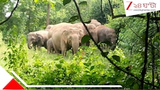 সন্ধে নামলেই নেমে আসবে তারা! ঘরে নয় চাষিদের রাত কাটছে মাঠে টং-ঘরে