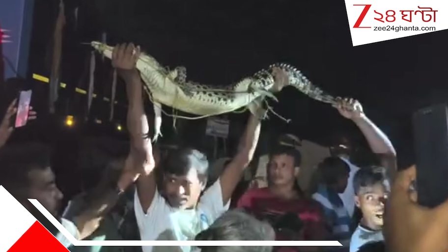 স্কুল মোড়ে রাস্তায় হেঁটে চলেছে কুমির, পাথরপ্রতিমায় ভাইরাল ভিডিয়ো