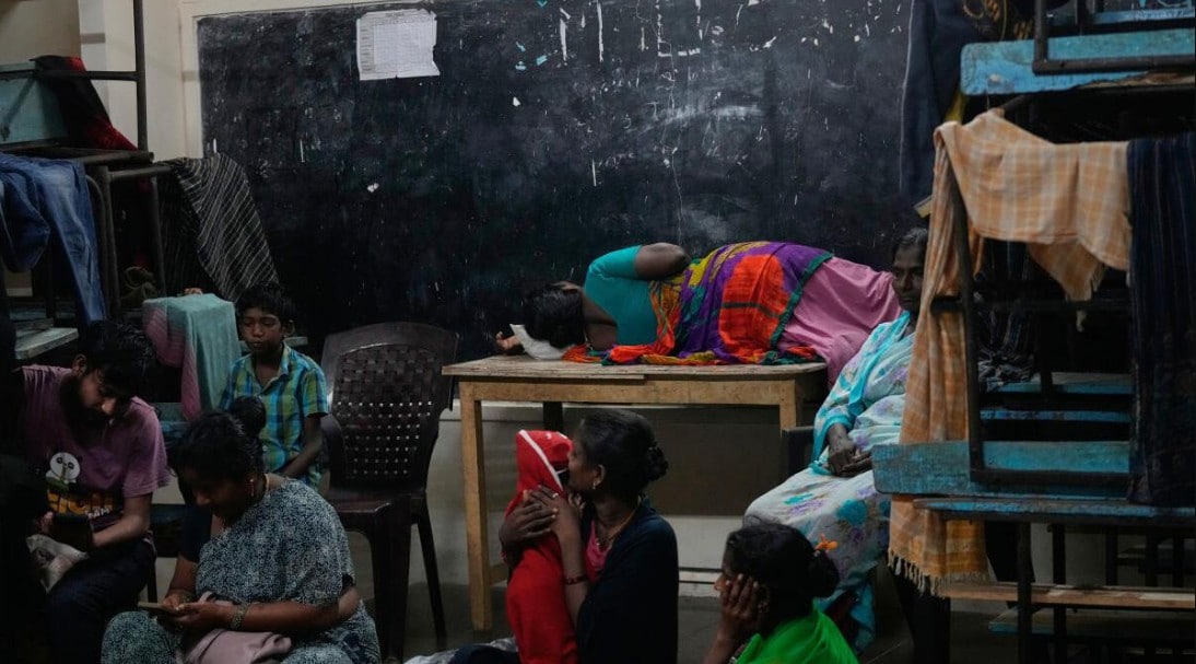 Arnab 4