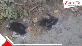 শিলিগুড়িতে শিহরণ! বিধায়কের বাড়ির পাশেই শিক্ষিকাকে এলোপাতাড়ি কোপ, প্রেমিকও তারপর...'রক্তাক্ত' ১৫-র প্রেম