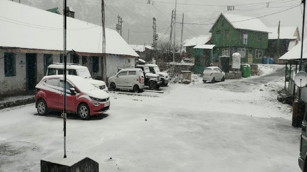 নেচে উঠেছে পর্যটকের মন