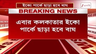 Eco Park | ইকো পার্কে কবে আগমন ডোরাকাটার? | Zee 24 Ghanta